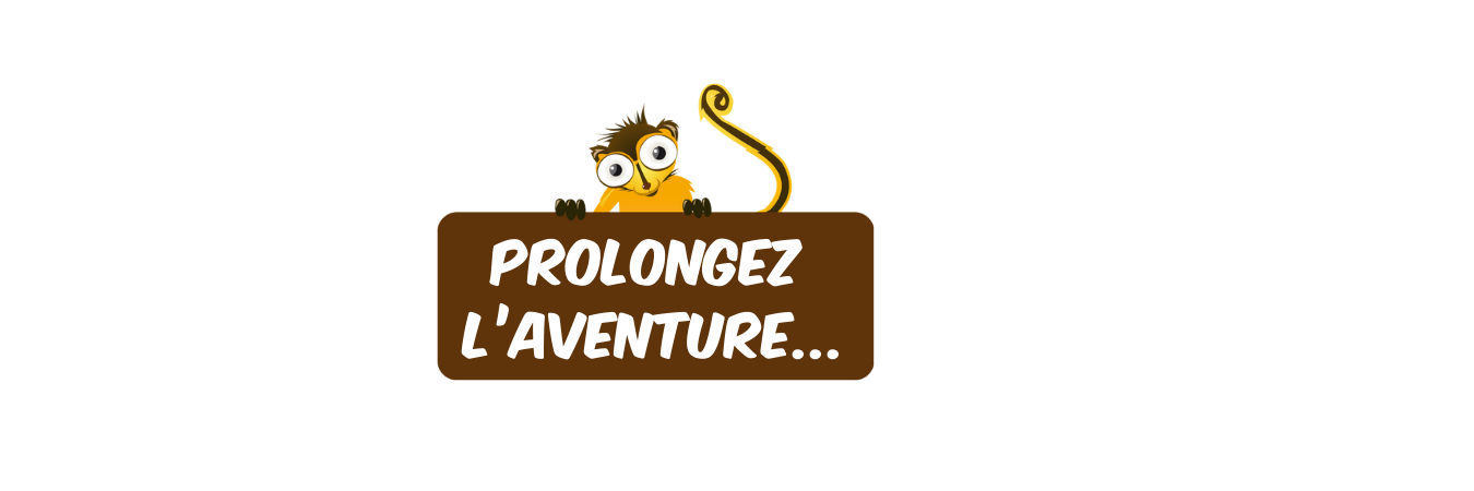 bandeau site web  (2).png